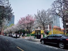 -天津五大道文化旅游区