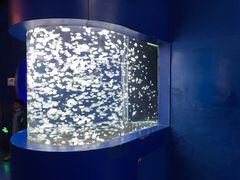 -太平洋海底世界