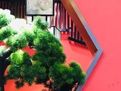 -洞庭家宴·头牌甲鱼(广渠门店)