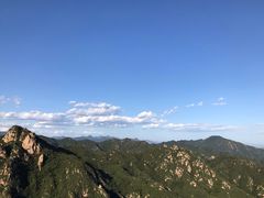 -大岭沟猕猴桃谷风景区