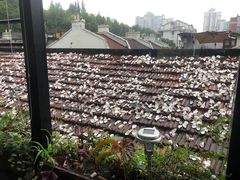 -普朗姆生蚝吧(原建国路店)