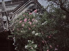 -韩湘水博园