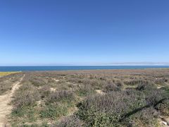 -青海湖国家重点风景名胜区