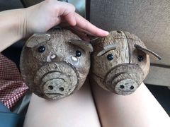 手工椰子小猪-文昌邓记清补凉(西沙路店)