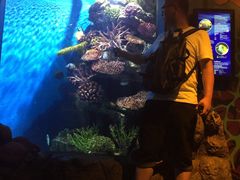 -暹罗海洋世界