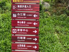 -广州白江湖森林公园