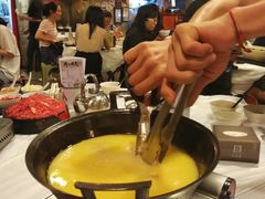 -鲜入围煮花胶鸡海鲜火锅