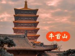 -牛首山文化旅游区