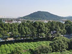 -树山生态村
