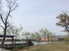 -上海长兴岛郊野公园