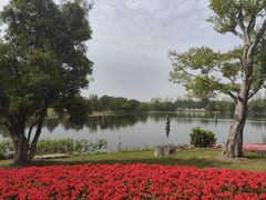-武汉园博园(武汉自然博物馆)