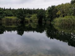 -东平国家森林公园