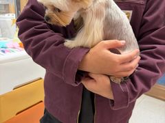 -FAELING PETS美天灵宠物(富力广场店)