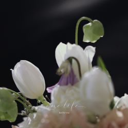 -琥珀婚礼策划AMBER WEDDING