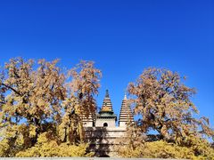 -北京石刻艺术博物馆(五塔寺)