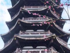 -洋湖国家湿地公园