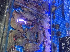 -渔民船说·北塘海鲜·天津菜·海肠捞饭(北塘古镇店)