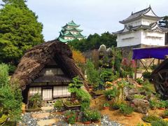 -名古屋城