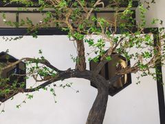 -桂满陇-锦绣江南(万象城店)