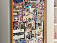 -青奢宠物·青奢猫舍