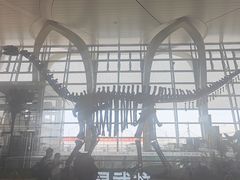-银川河东国际机场