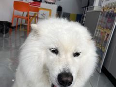 -中国体育彩票(竞彩店)