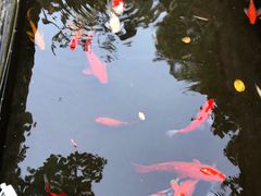 -杜月笙公馆旧址