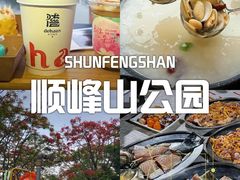 -顺峰山公园