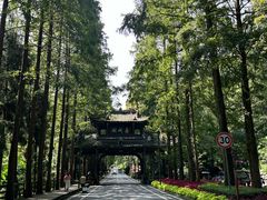 -青城山