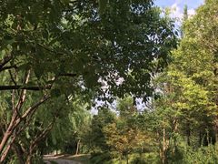 -新江湾城公园