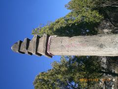 -白水寺森林公园