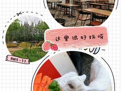 -前小桔亲子创意农场·草莓采摘·露营烧烤