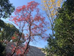 -河姆渡遗址博物馆