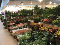 -双季花艺园艺市场(浦东店)