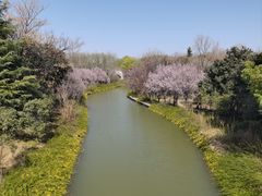 -洛阳市隋唐城遗址植物园