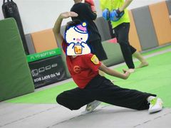 -武术世家少儿培训中心(首都体育学院店)