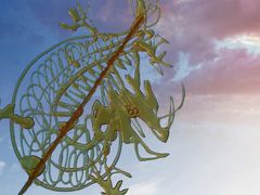 -广富林郊野公园