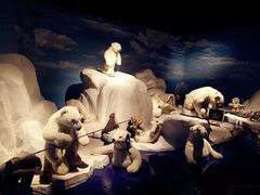 泰迪熊博物馆-成都泰迪熊博物馆