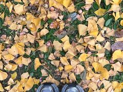 -长白岛森林公园