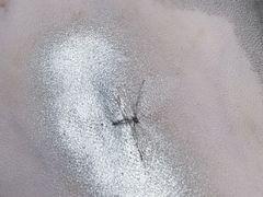 -邢大夫动物医院