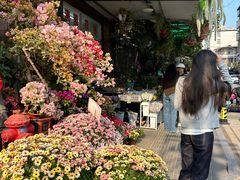 -溪岸路花鸟市场