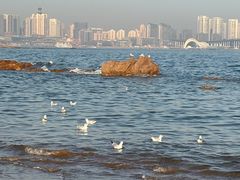 -青岛第三海水浴场