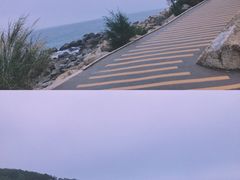 -广东惠东海龟国家级自然保护区