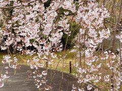 -醍醐寺