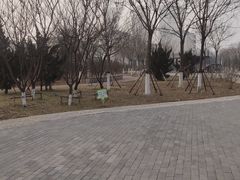 -绿岛公园(滨海新区)
