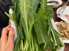 -正能量脆肉鲩火锅