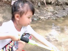 -白水寺森林公园