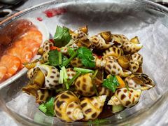 冰镇花螺-阿拉斯加·海货(马王堆店)