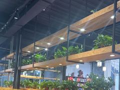 -桃源村铁锅炖鱼(体育馆道店)