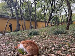 -西园戒幢律寺